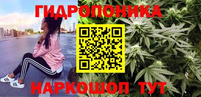 эйфоретик Тара