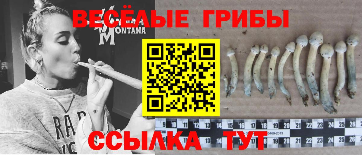 Галлюциногенные грибы ЛСД  Псилоцибиновые грибы GOLDEN TEACHER  Новоуральск  где продают наркотики  Вход с VPN 